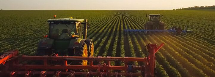 A tractor in a soybean field. Cultivation of soybean rows in the field.